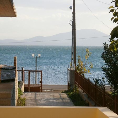 Artemis - Marina Apartments Evia Екстер'єр фото